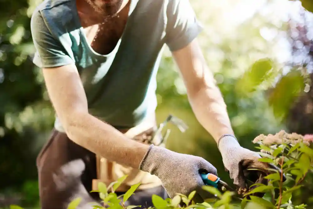 Gardening services and lawn mowing For NDIS in Toowoomba