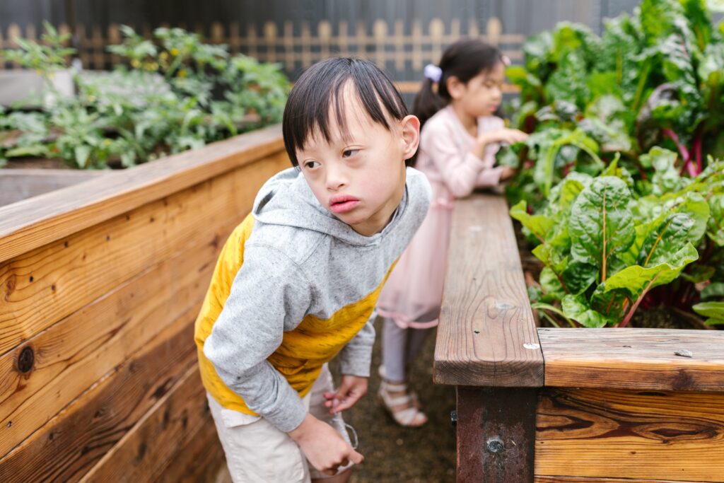 NDIS Gardening Services